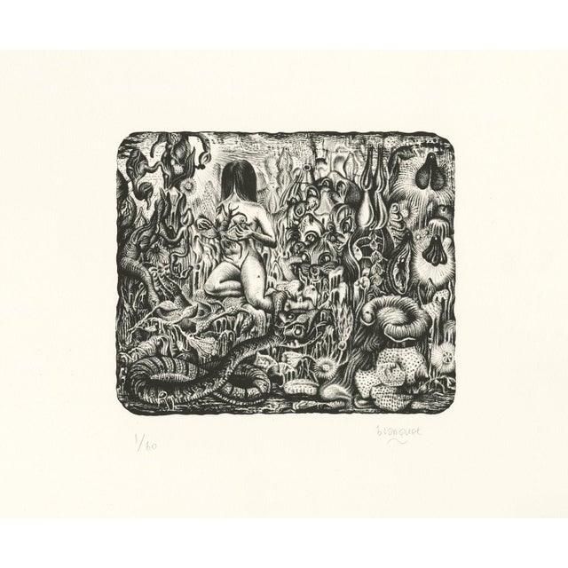 Stéphane Blanquet Majesté Furtive, 2016 Black and white lithograph on vellum Arches paper 270g Edition of 60 copies,...