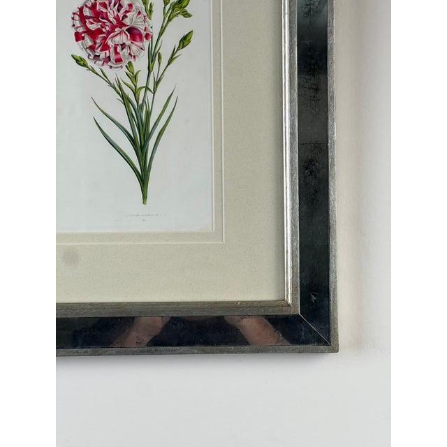 Late 19th Century Vintage Trowbridge Custom Framed Botanical Print “Dianthus Caryophyllus” After Louis Stroobant, Belgium 1845-1888 For Sale - Image 5 of 10