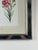 Late 19th Century Vintage Trowbridge Custom Framed Botanical Print “Dianthus Caryophyllus” After Louis Stroobant, Belgium 1845-1888 For Sale - Image 5 of 10