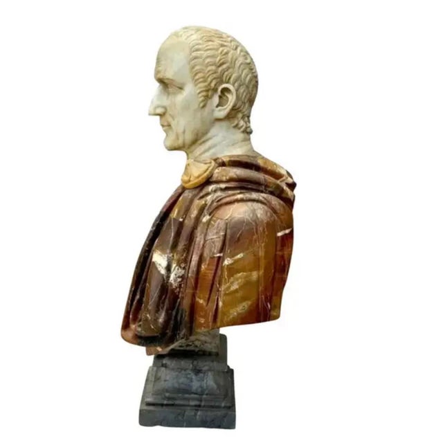 Italian Specimen Marble Busts of Roman Emperors, a Pair For Sale In Tampa - Image 6 of 17