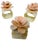 Beige Stunning Vintage Capiz Shell Flower Napkin Rings (Set of 6) For Sale - Image 8 of 13