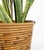 Midcentury Bamboo and Rattan Basket by Vivai Del Sud, 1970s For Sale - Image 11 of 15