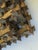Antique 19th C. Folk/Tramp Art Golden Crown of Thorns Frame For Sale - Image 10 of 12