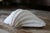 Set of 5 Large Natural Nautical Seashells | Coastal Beach House Decor | Organic Sculptural Display For Sale - Image 9 of 18