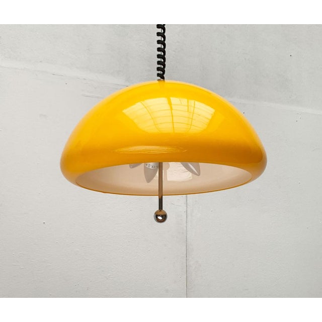 Silver Mid-Century Space Age Cabras Pendant Lamp by Luigi Massoni for Guzzini, 1960s For Sale - Image 8 of 18