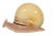 Large Sergio Bustamante paper mache Snail Sculpture. Signed and Numbered, #20 from a small edition of 100. Pretty cream...