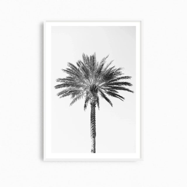 This large palm tree art print is an eye-catching contemporary piece of minimalist black and white wall art, a fine art...