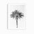 This large palm tree art print is an eye-catching contemporary piece of minimalist black and white wall art, a fine art...