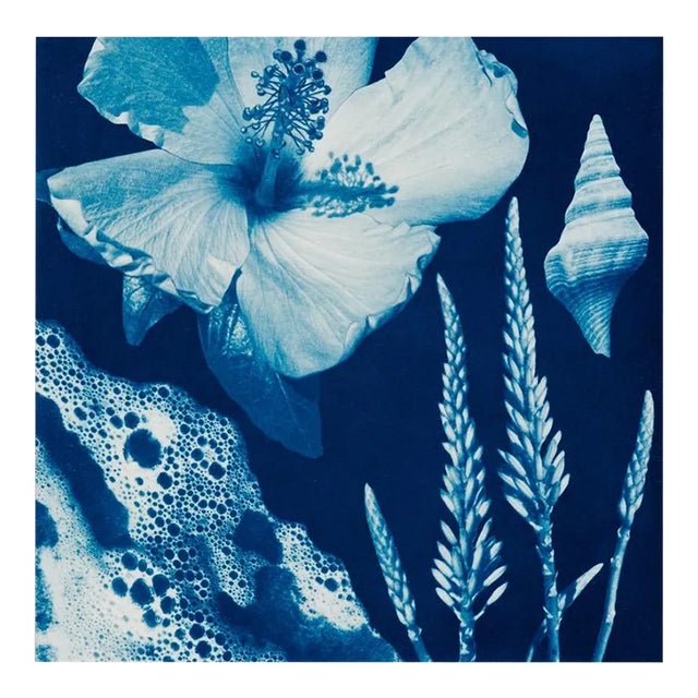 Botanical Monochromatic Watercolor and Cyanotype on Hahnemuhle Platinum Rag Paper, "Saltwater Gradient, Var 10" For Sale