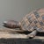 Wood Antique Hand Carved Folk Art Turtle Sculpture For Sale - Image 7 of 12