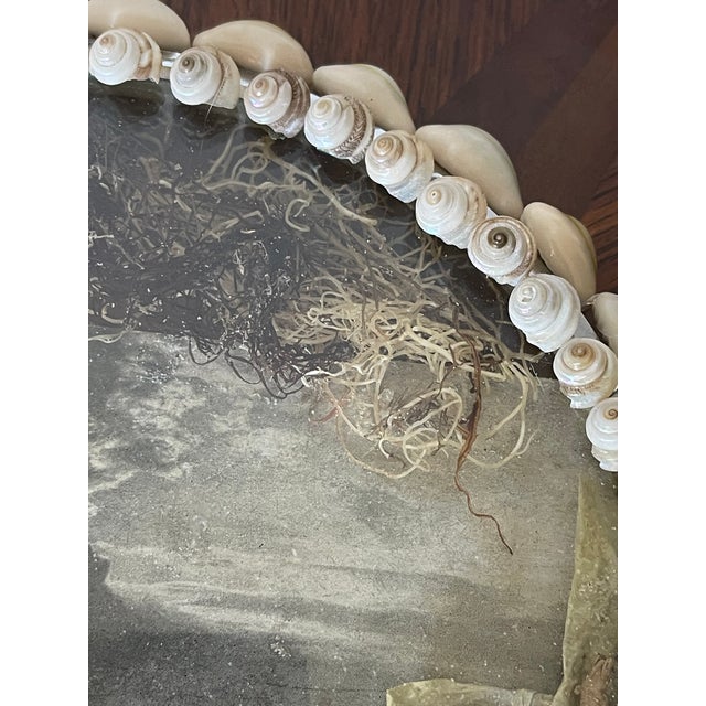 Antique Sea Shells Sailors Valentines For Sale - Image 4 of 7