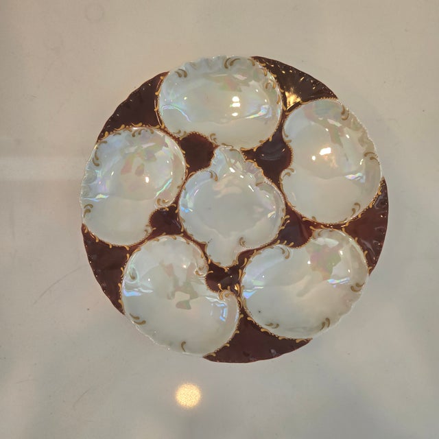 Antique Haviland Limoges Oyster Plate For Sale - Image 11 of 18