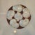 Antique Haviland Limoges Oyster Plate For Sale - Image 11 of 18