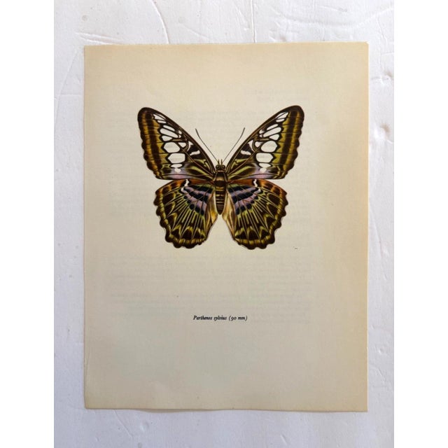 Up for sale is this gorgeous lithograph by F. Prochazka, published in Great Britain in 1965. It is in excellent, gently-...