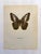 Up for sale is this gorgeous lithograph by F. Prochazka, published in Great Britain in 1965. It is in excellent, gently-...