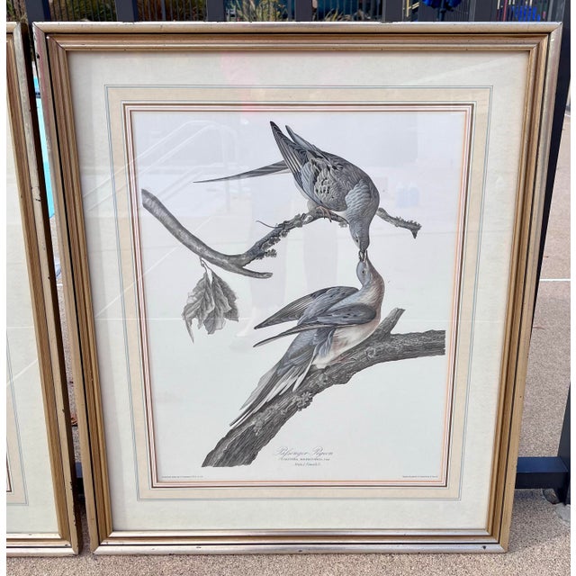 Virginia Metalcrafters 1960s XL 35"h Audubon "Birds of America" Engravings by R. Havell -Set of 2 For Sale - Image 4 of 17