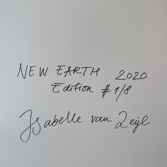 Wood New Earth by Isabelle Van Zeijl For Sale - Image 7 of 12