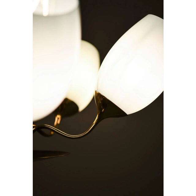 Model 9029 Ceiling Lamp by Paavo Tynell for Taito Oy, Finland For Sale - Image 11 of 13