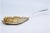 Cake Shovel in Gilded Silver and Cut Out with Shells, in Very Good conditions. Designed 1890 to 1919 This piece has an...