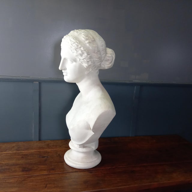 Sculpture Materials Large Nude Bust of Venus, 1950s For Sale - Image 7 of 15