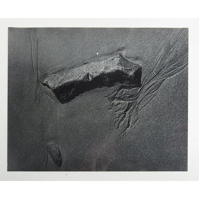 Mid 20th century photograph of objects in a sandy beach attributed to Jeff Weiss (20th 21st century). Unsigned. Unframed.