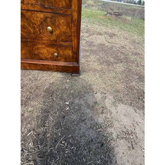 Sienna 19th Century Louis Philippe Burl Walnut Chest of Drawer / Commodes For Sale - Image 8 of 18