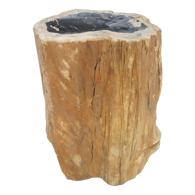 Beige Black Petrified Wood Organic Stomp Shape Stand End Side Table Pedestal For Sale