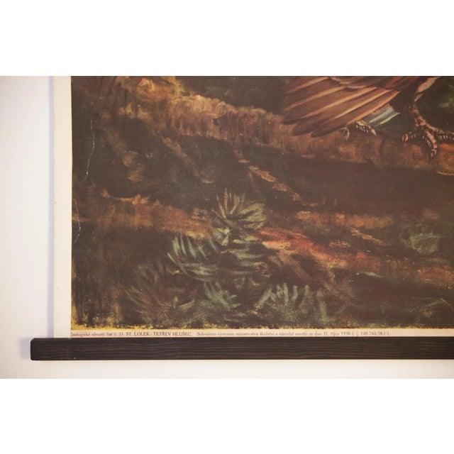 1930s Vintage Grouse School Poster, 1938 For Sale - Image 5 of 10