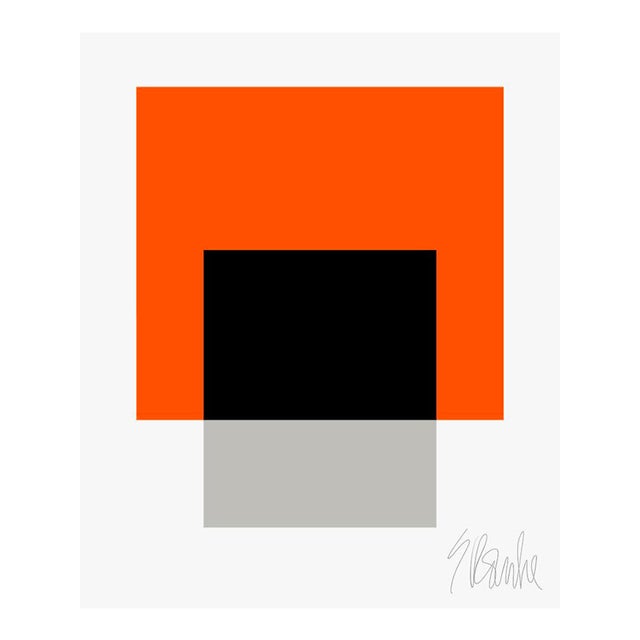 The Interaction of Orange, Black and Gray Fine Art Print 45" X 55" by Liz Roache For Sale