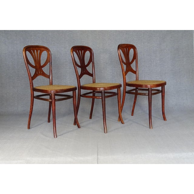 Chairs No. 642 Butterfly Model by Michael Thonet, 1910, Set of 3 For Sale - Image 10 of 15