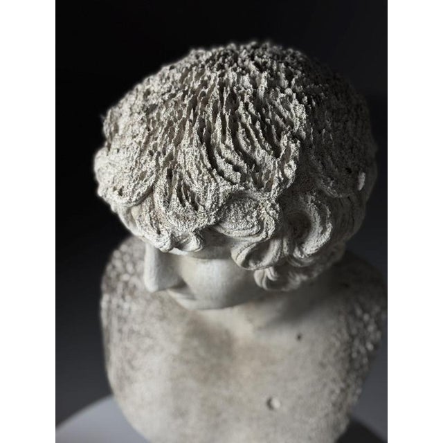 Classical Bust of Antinous, 2000s For Sale - Image 18 of 18