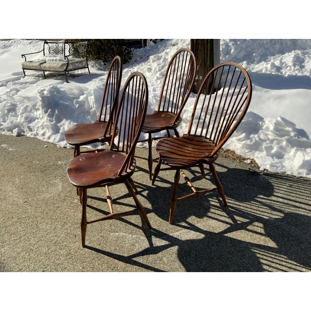 Traditional 20th Century Dr Dimes Hoop Back Windsor Chairs Set of Four For Sale - Image 3 of 17