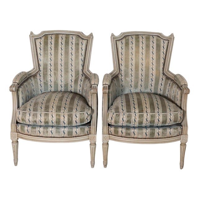 Pair of 20th Century French Bergeres For Sale