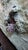 Vin Sculptras, Wounded Faces, 2016, Oil on Canvases, Framed, Set of 2 For Sale - Image 17 of 18