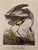 John James Audubon Mid-Century Audubon Great Blue Heron Print (Ardea Herodias), Unframed For Sale - Image 4 of 6