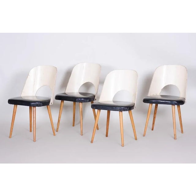 Oswald Haerdtl Mid-Century Black and White Chairs in Leather and Beech by Oswald Haerdtl, 1950s, Set of 4 For Sale - Image 4 of 7