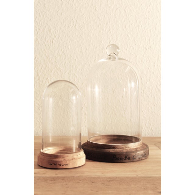 French Handblown Glass Bell Jar Display with Wooden Stand Marking Arc De Triomphe, Paris, Set of 5 For Sale - Image 4 of 10