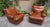 Mid-Century Modern Bergère Armchair in in Brown Leather Poltrona Frau, 1960s, Set of 2 For Sale - Image 3 of 5