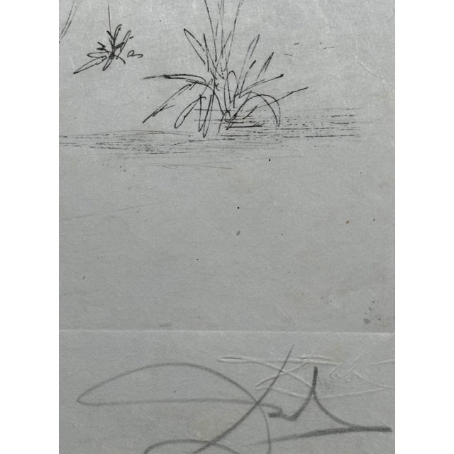 Surrealism 1960s Salvador Dali Poems Secrets War 1914-1918 For Sale - Image 3 of 4
