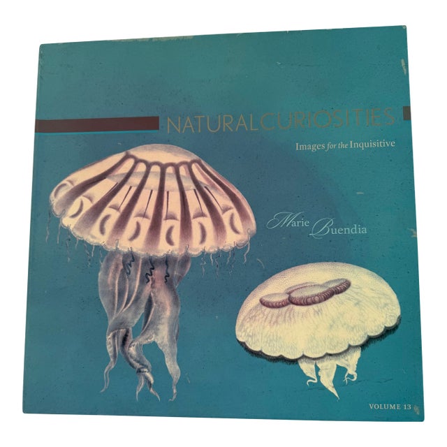 1970s Natural Curiosities Collector's Album of 14 Artistic Prints For Sale