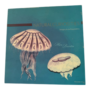 1970s Natural Curiosities Collector's Album of 14 Artistic Prints