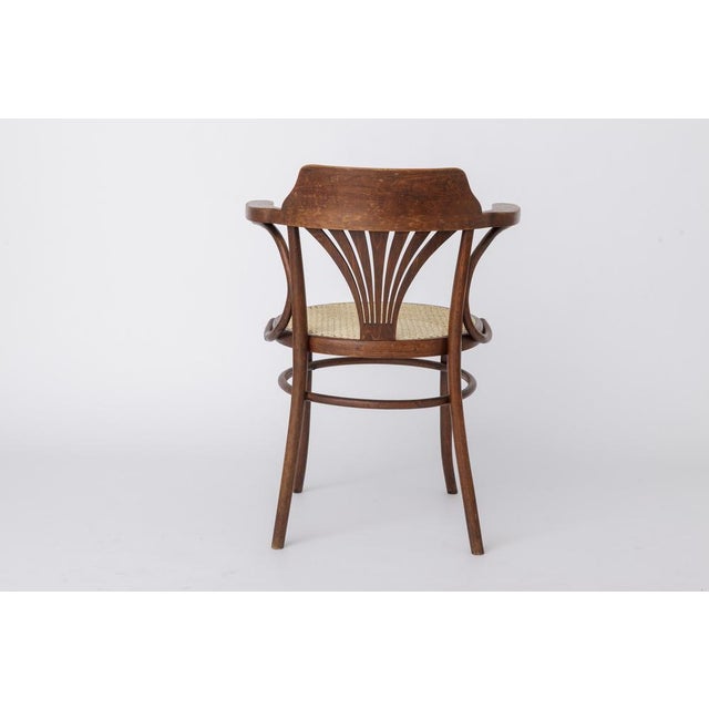 Vintage Bentwood Chair by Fischel, 1940s For Sale - Image 4 of 10