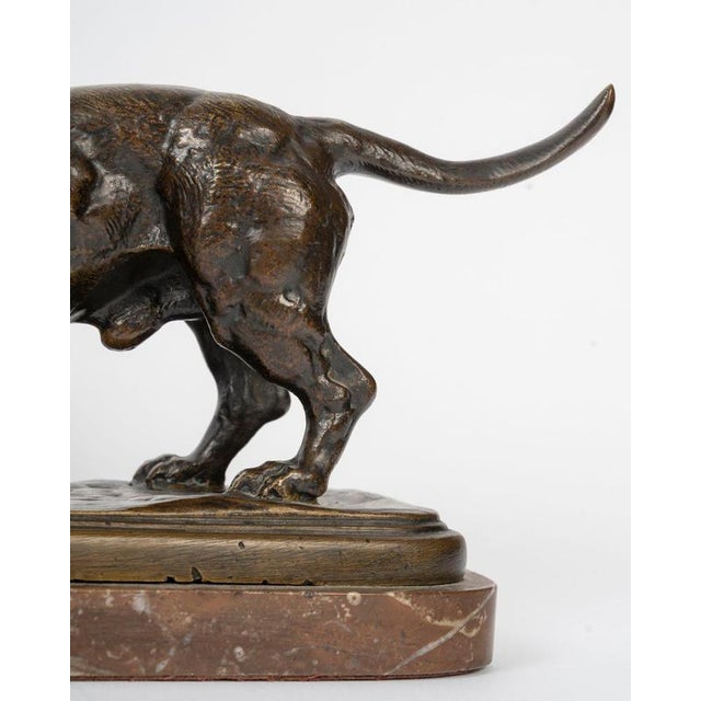 Sculpture of Basset Hound in Patinated Bronze by Antoine-Louis Barye For Sale - Image 3 of 10