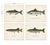 Sculpture Materials Bluefish, Atlantic Salmon, Pike & Landlocked Salmon - By Denton Circa 1903, S/4 For Sale - Image 7 of 8