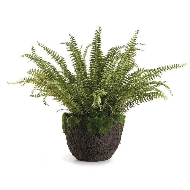 100% realistic an absolutely perfect copy of the Grand Boston Fern. So authentic you have to remind yourself not to water...