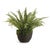100% realistic an absolutely perfect copy of the Grand Boston Fern. So authentic you have to remind yourself not to water...