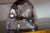 1970s Vintage Daum Crystal Sailboat Sculpture, Signed, Circa 1970s For Sale - Image 5 of 5