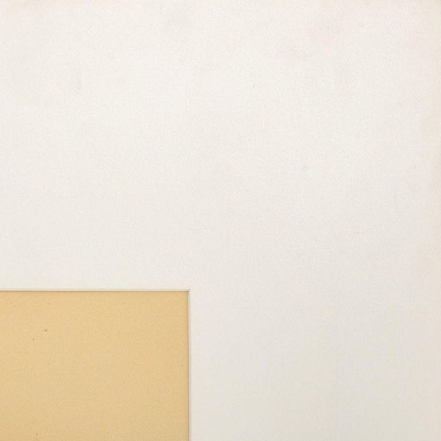 Anne Sager Abstract Composition in Cream C-Print For Sale - Image 4 of 6