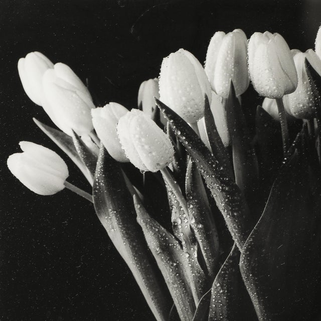 Modernist Black and White Still Life Photograph of Tulips For Sale - Image 4 of 8