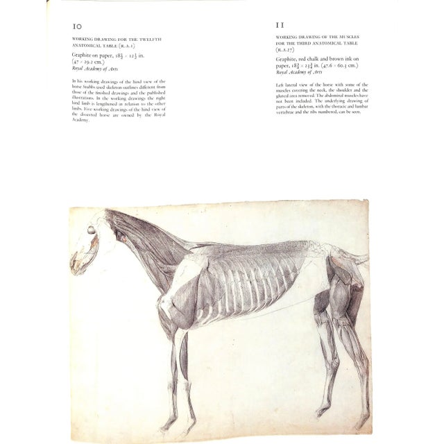 "George Stubbs 1724-1806" 1984 Egerton, Judy For Sale - Image 10 of 11
